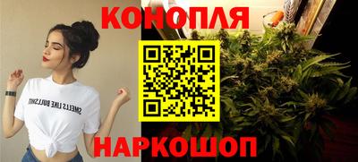 ешки Гудермес