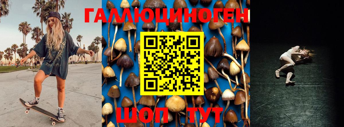 Псилоцибиновые грибы Magic Shrooms  где купить наркоту  Златоуст  Вход с VPN 