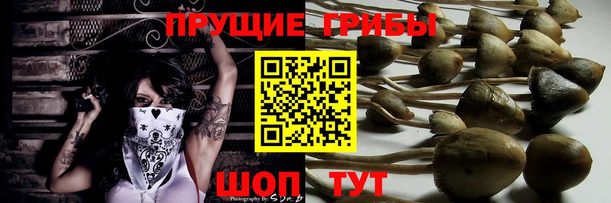 Галлюциногенные грибы мухоморы Златоуст
